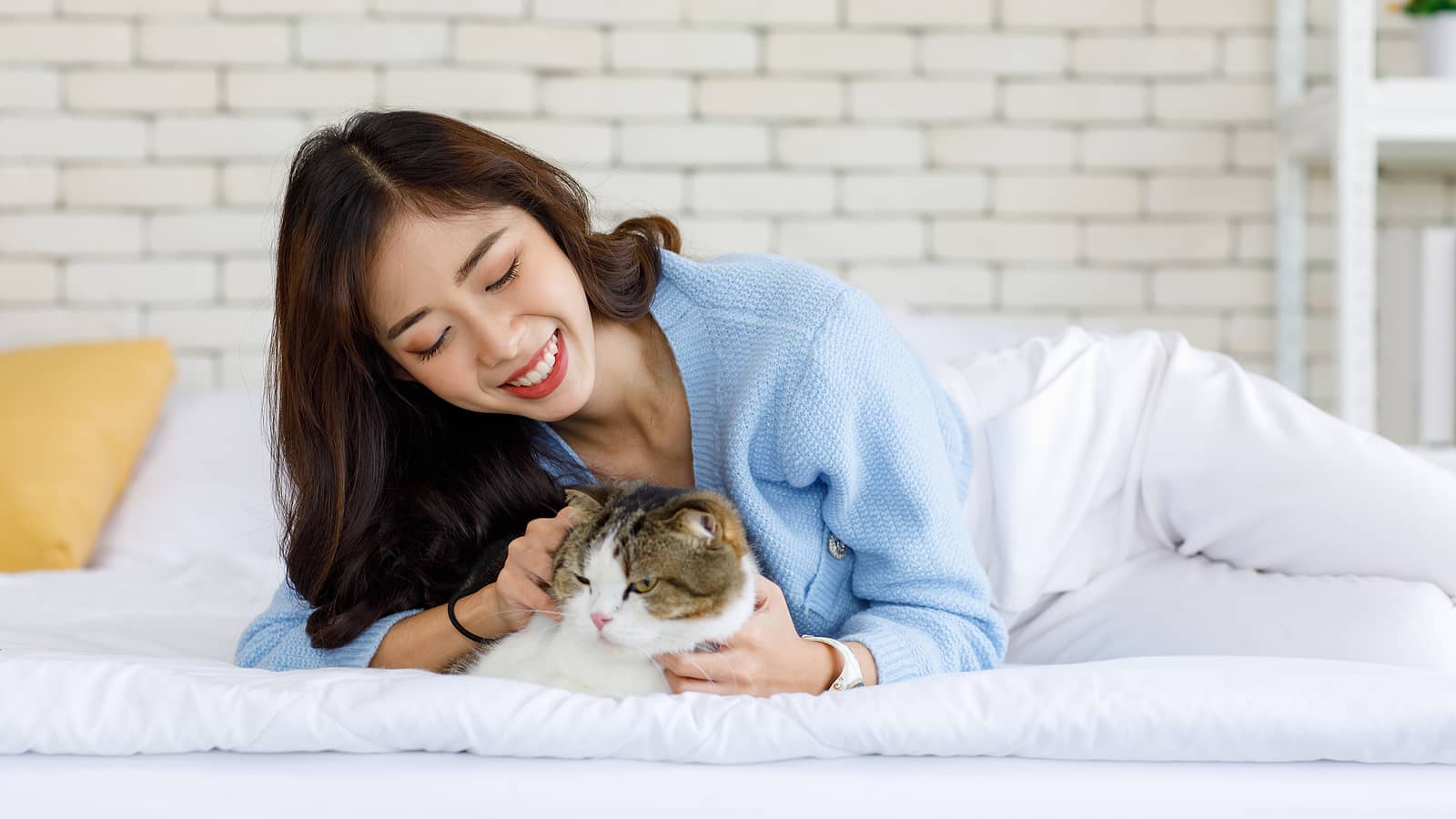 How to Choose the Right Pet Sitter for Your Dog or Cat